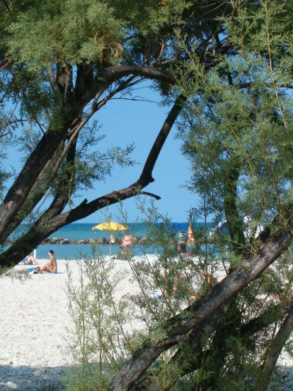 Residence Casabianca Porto San Giorgio Eksteriør bilde