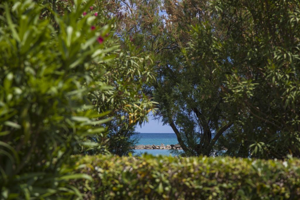 Residence Casabianca Porto San Giorgio Eksteriør bilde