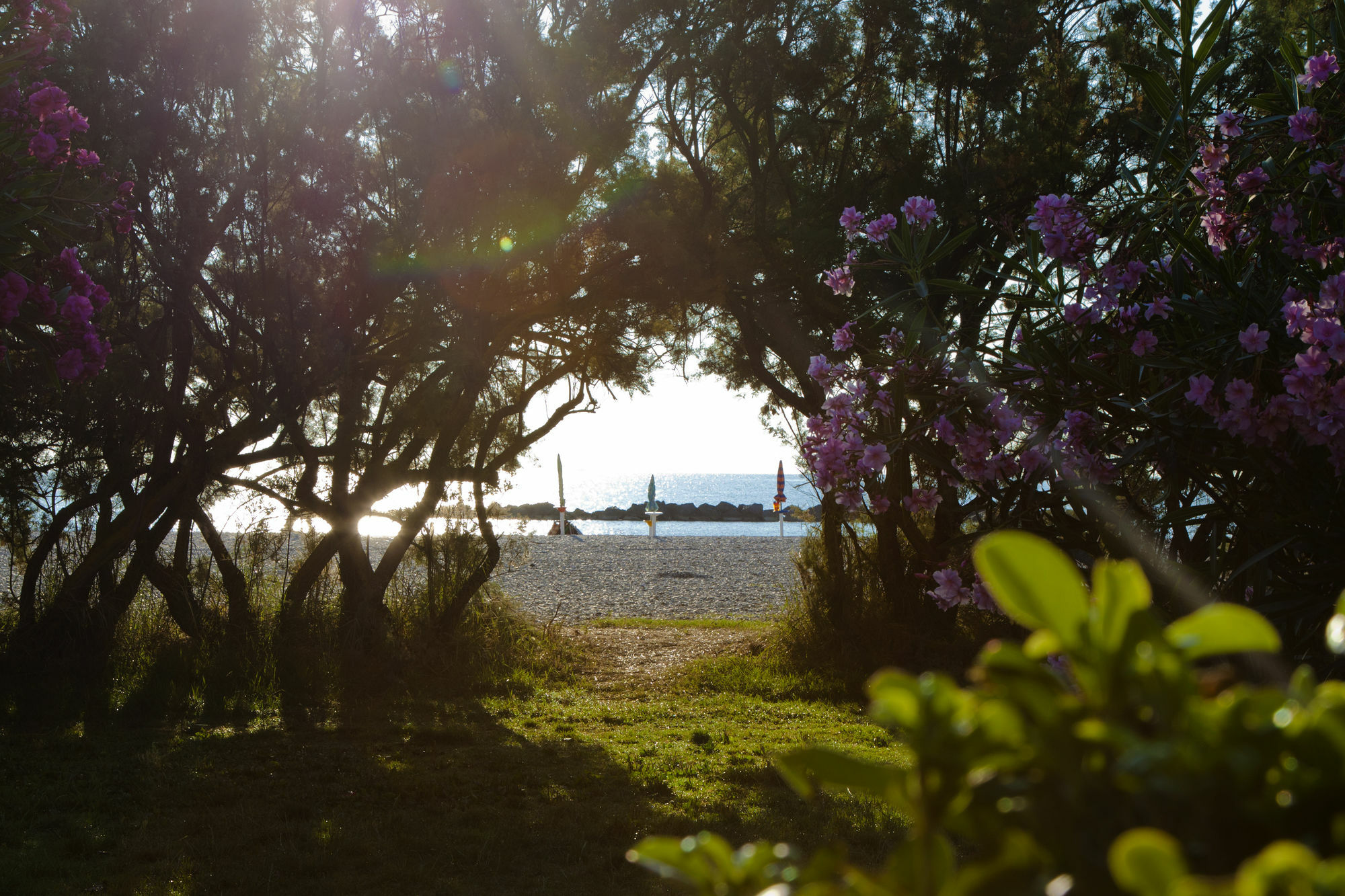 Residence Casabianca Porto San Giorgio Eksteriør bilde